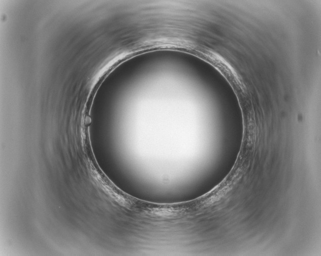 X0000086961182200704231443