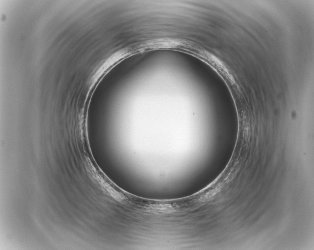 X0000086961186200704231443