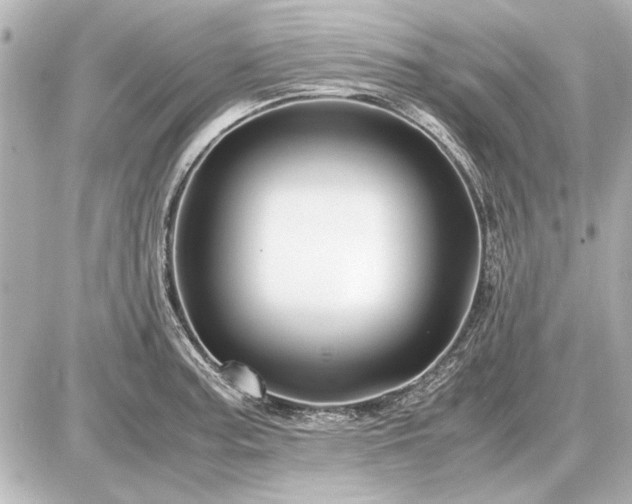 X0000086961187200704231443