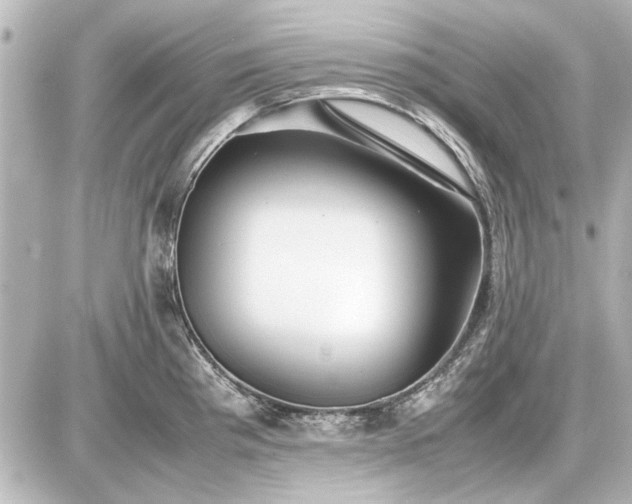 X0000086961193200704231443
