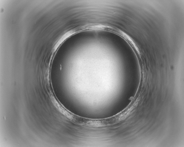 X0000086961194200704231443