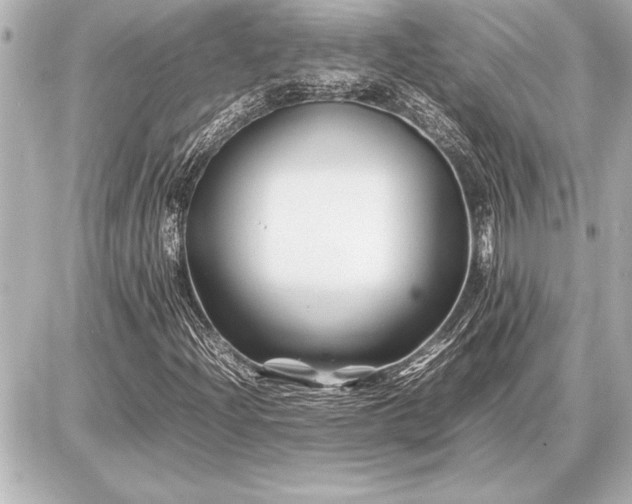 X0000086961204200704231442