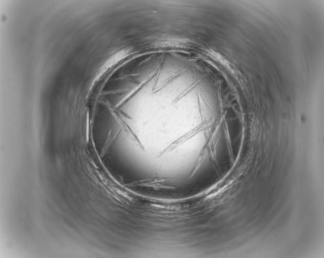X0000086961219200704231442