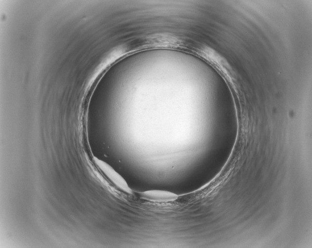 X0000086961235200704231442
