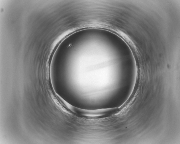 X0000086961238200704231442