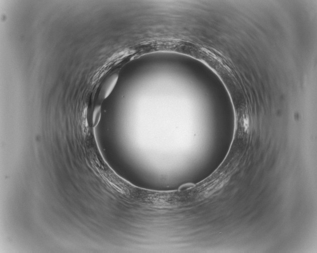 X0000086961252200704231442
