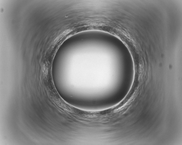 X0000086961257200704231442