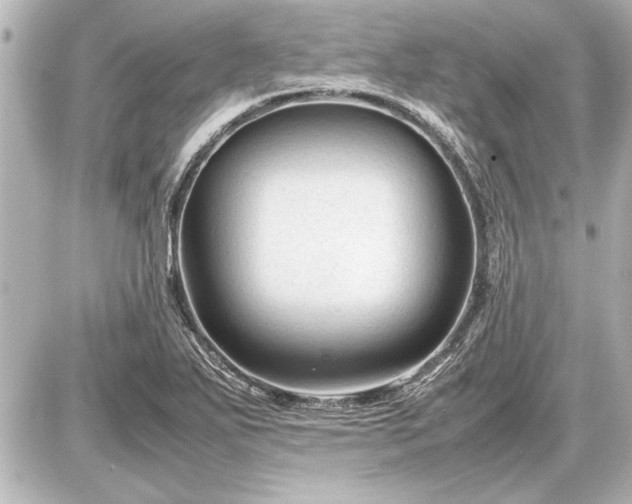 X0000086961271200704231441