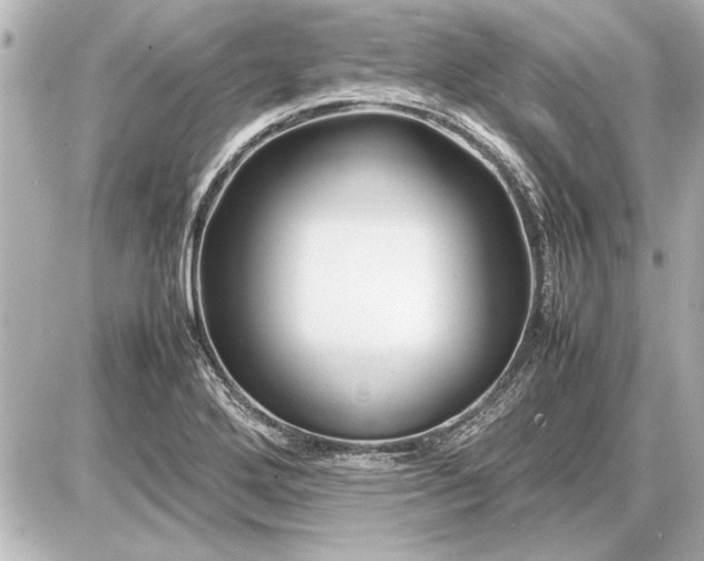 X0000086961272200704231441
