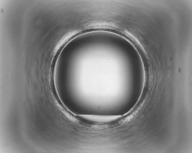 X0000086961277200704231441