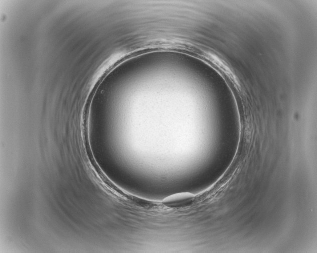 X0000086961283200704231441