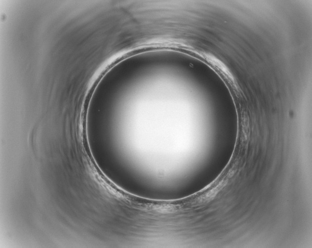 X0000086961288200704231441