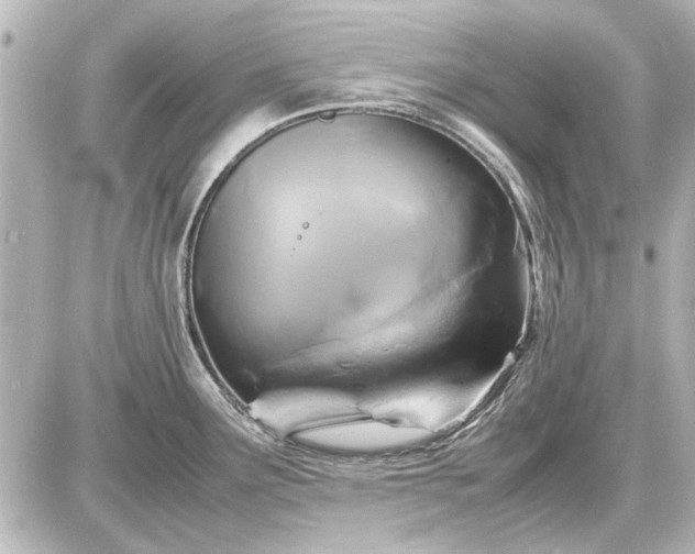 X0000086961291200704231441