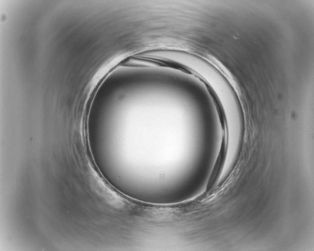 X0000086961293200704231441