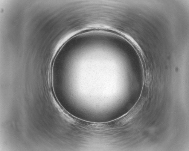 X0000086961295200704231441