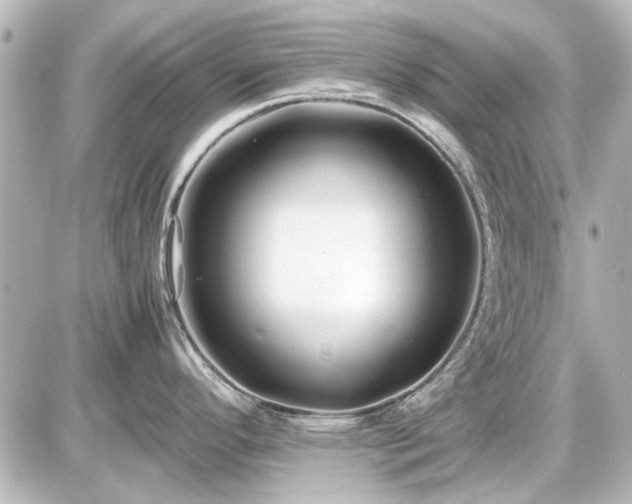 X0000086961296200704231441