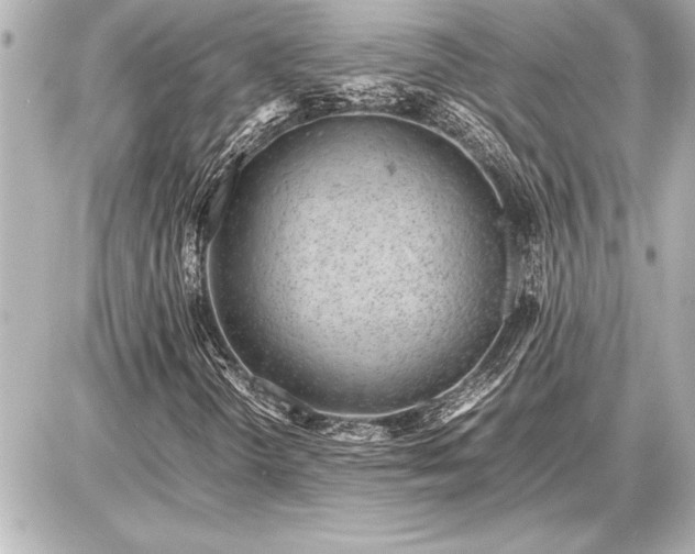 X0000086961298200704231440