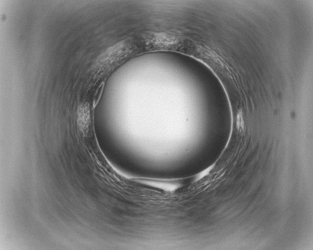 X0000086961299200704231440