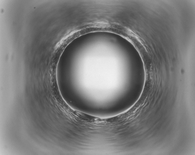 X0000086961304200704231440