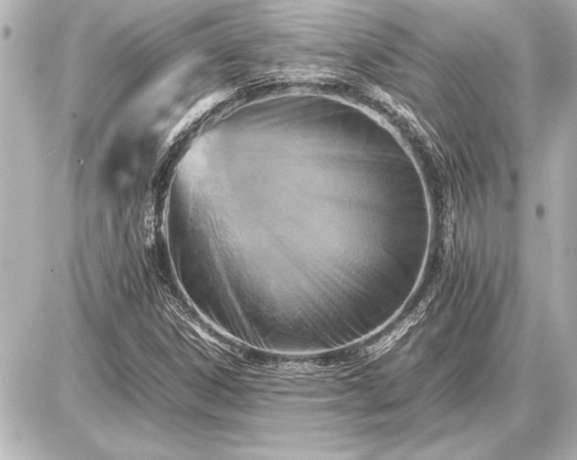 X0000086961306200704231440
