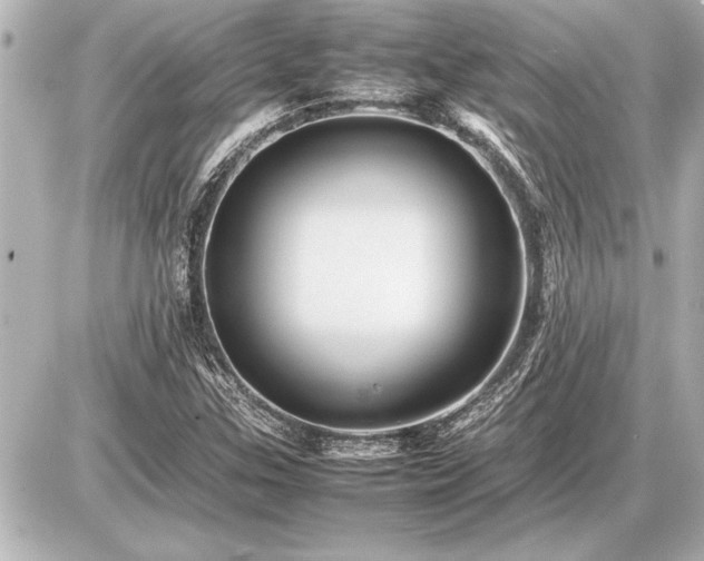 X0000086961307200704231440