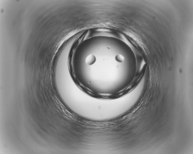 X0000086961308200704231440