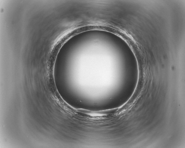 X0000086961311200704231440