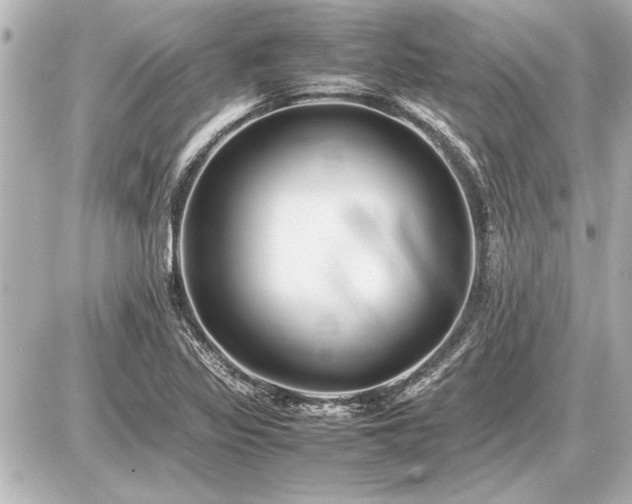 X0000086961317200704231441