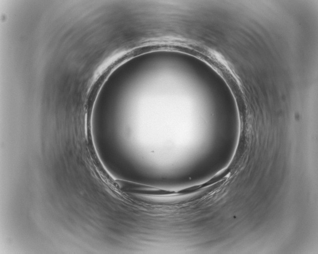 X0000086961320200704231441