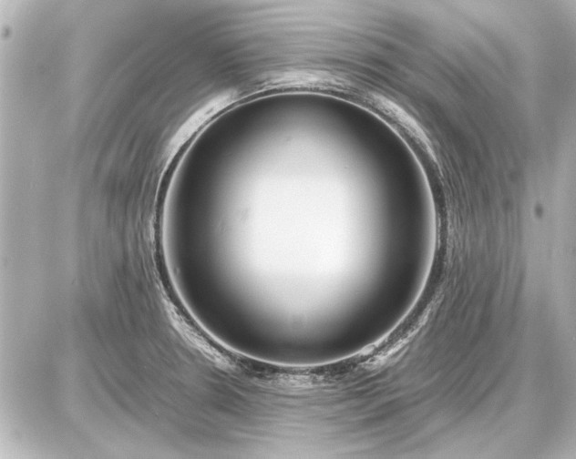 X0000086961330200704231441