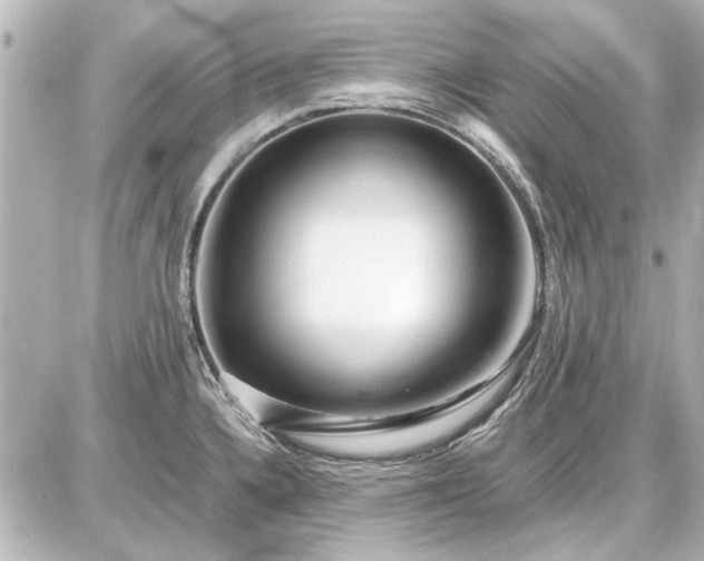 X0000086961336200704231441