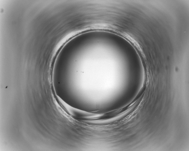X0000086961342200704231441