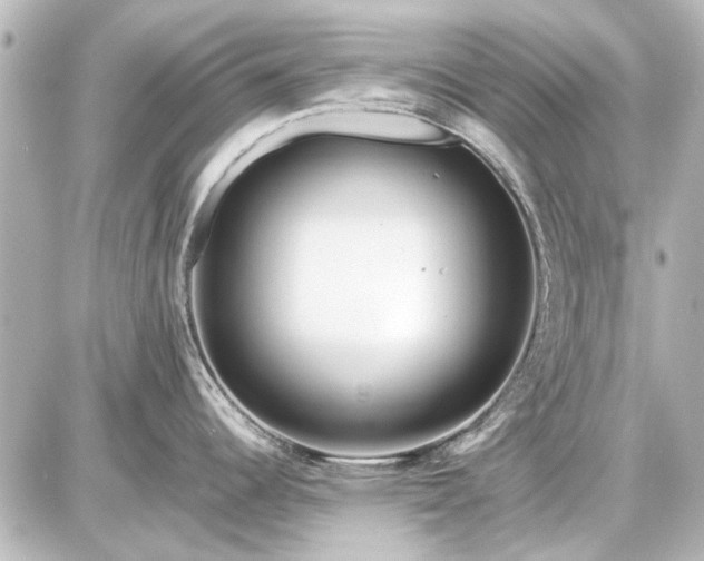 X0000086961344200704231441