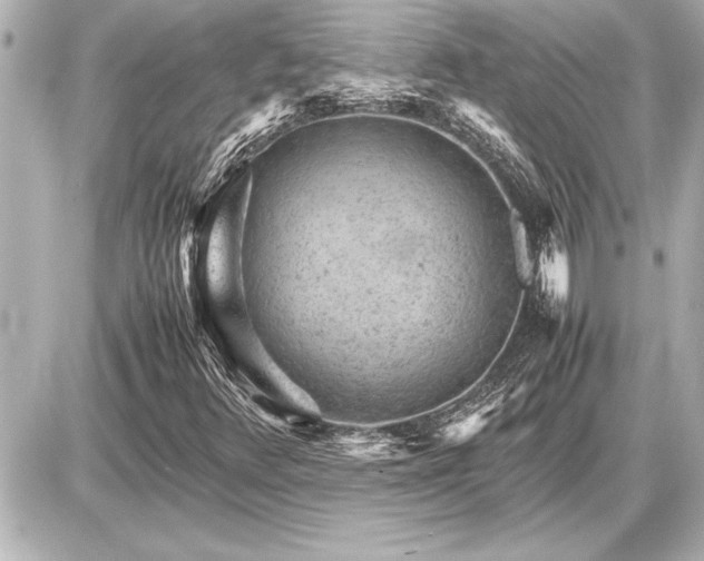 X0000086961348200704231440