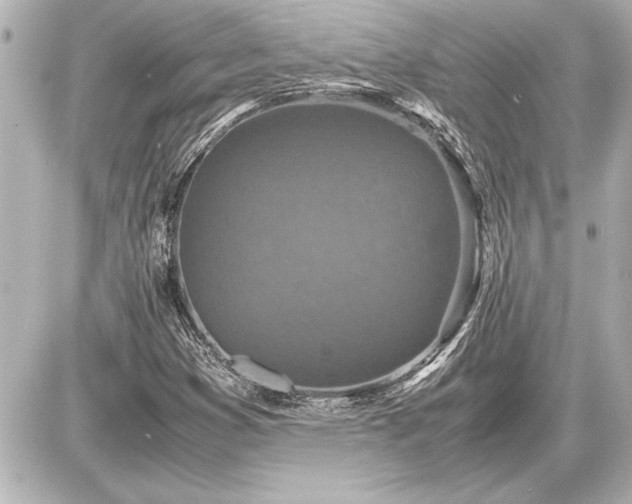 X0000086961353200704231440