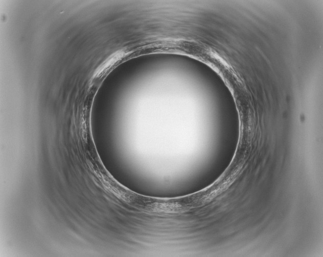 X0000086961354200704231440