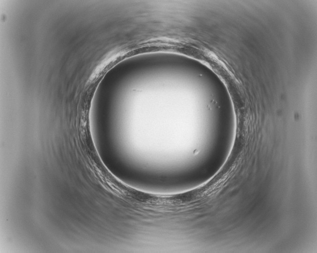 X0000086961355200704231440