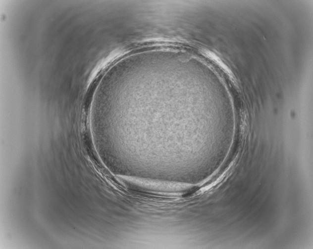X0000086961357200704231440