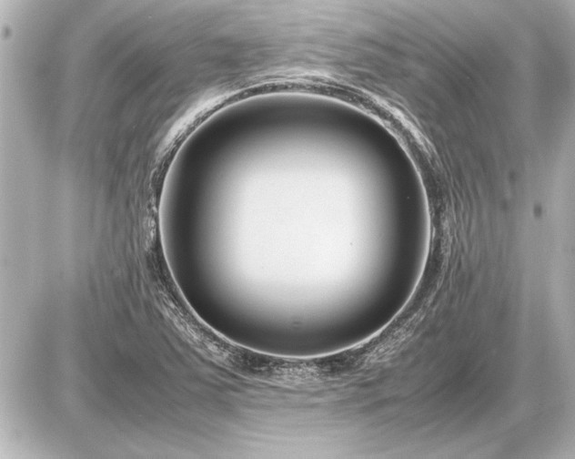 X0000086961363200704231440