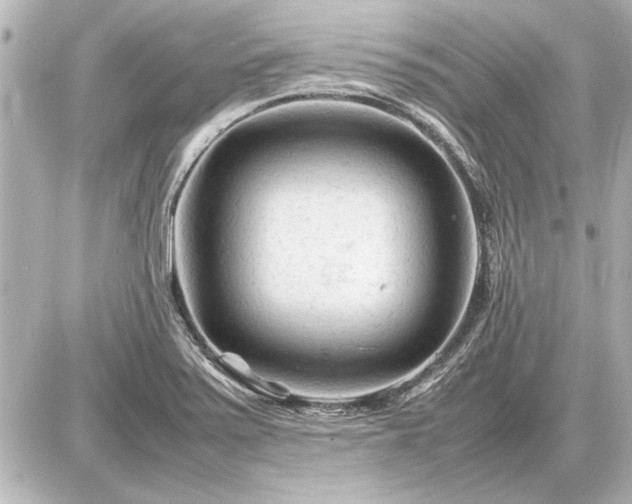 X0000086961371200704231440