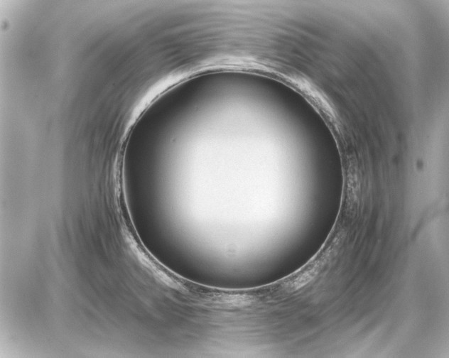 X0000086961382200704231440