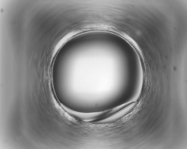 X0000086961389200704231439