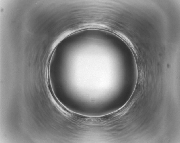 X0000086961391200704231439
