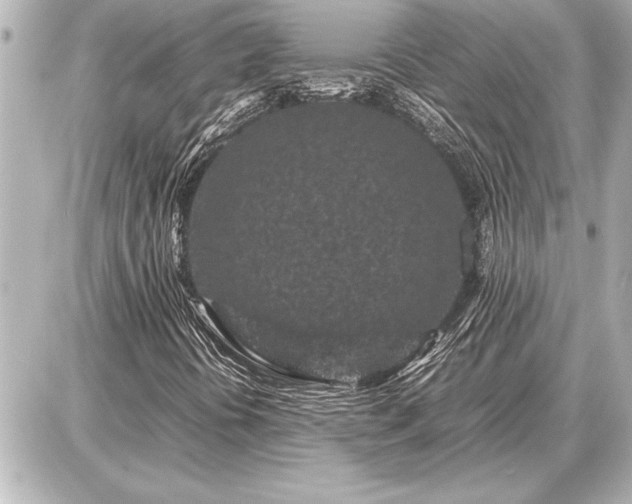 X0000086961394200704231439