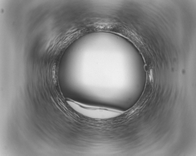 X0000086961396200704231439