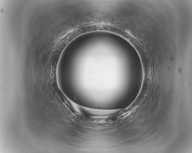 X0000086961398200704231439