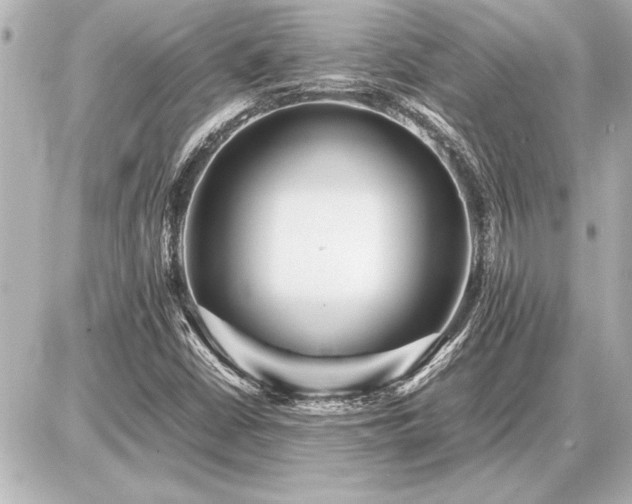 X0000086961402200704231439