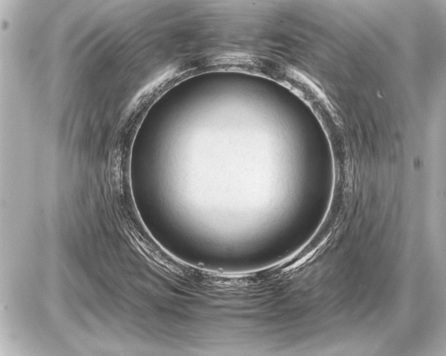 X0000086961403200704231439