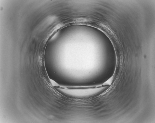X0000086961409200704231439