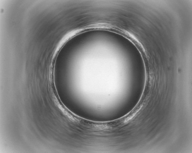 X0000086961421200704231439